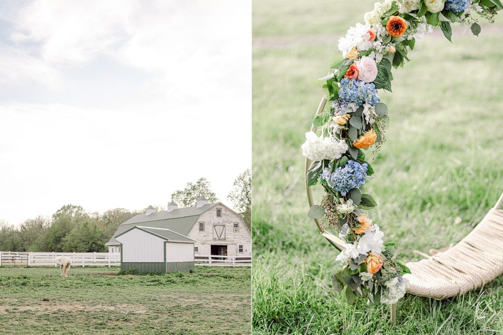 Southern Maryland Mother's Day Mini Session