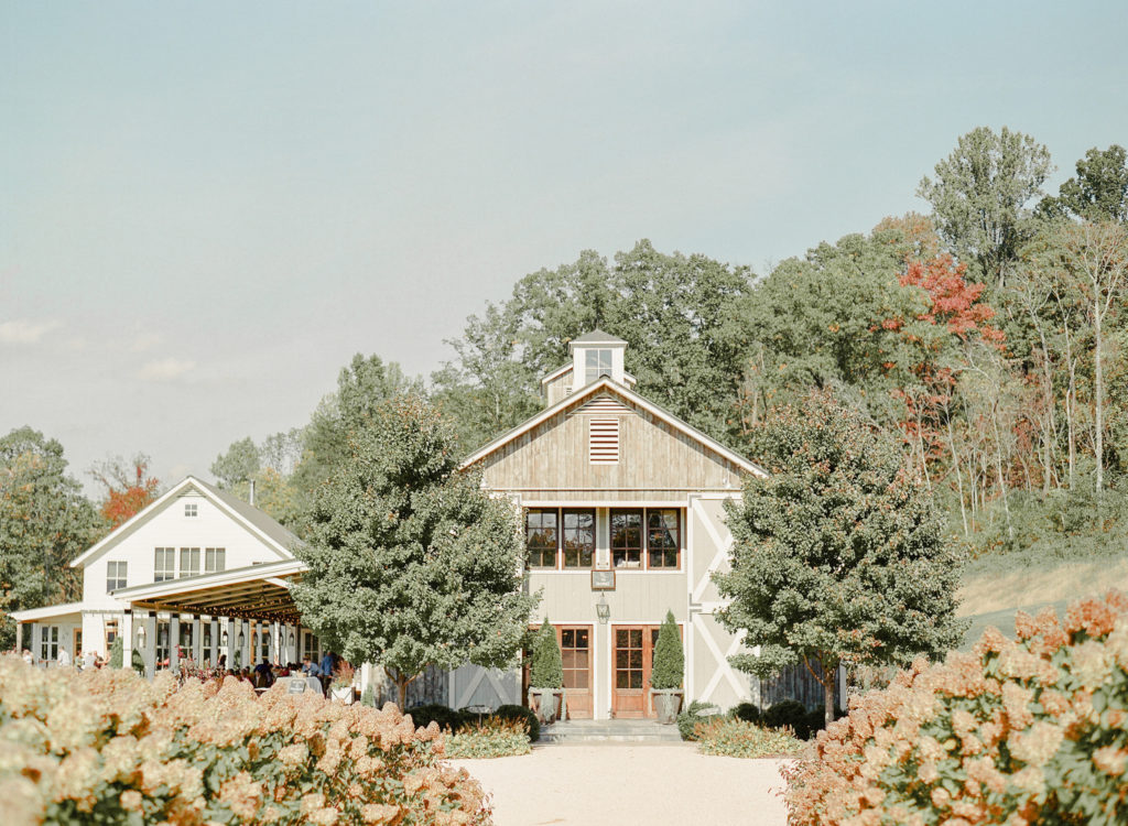 Pippin Hill Farm and Vineyard